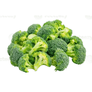 Fresh Broccoli
