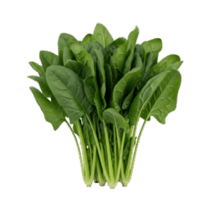 Fresh Spinach Leaves 250g