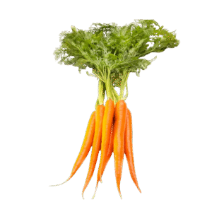 Organic Carrots 1kg